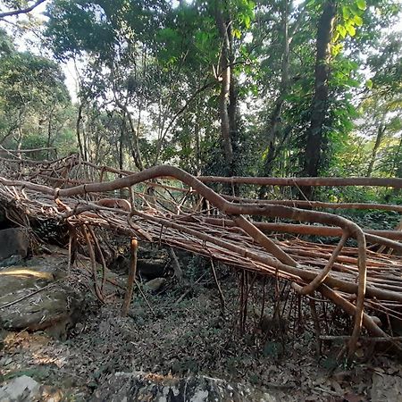 Living Roots Lodge Cherrapunji Ngoại thất bức ảnh