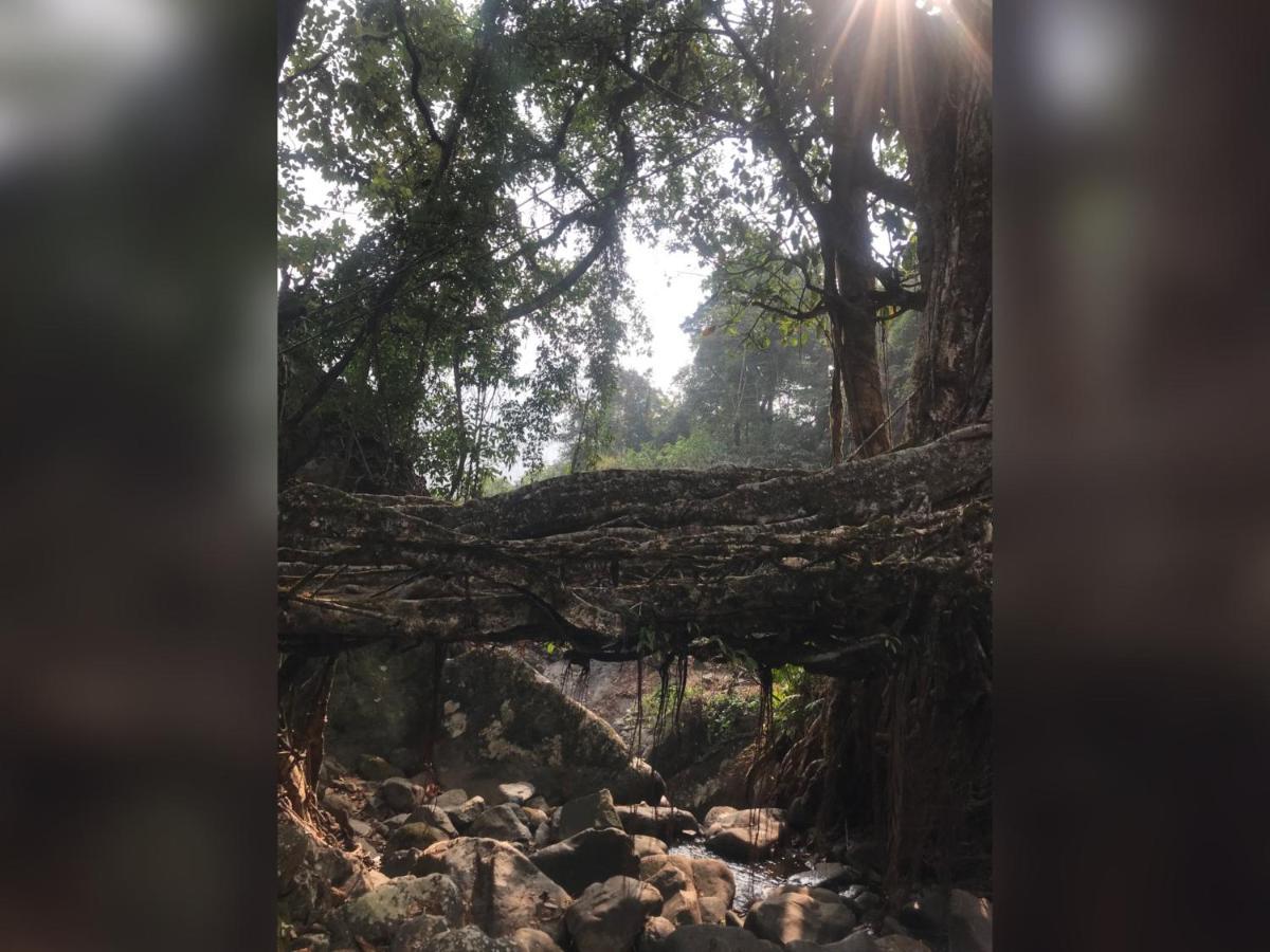Living Roots Lodge Cherrapunji Ngoại thất bức ảnh