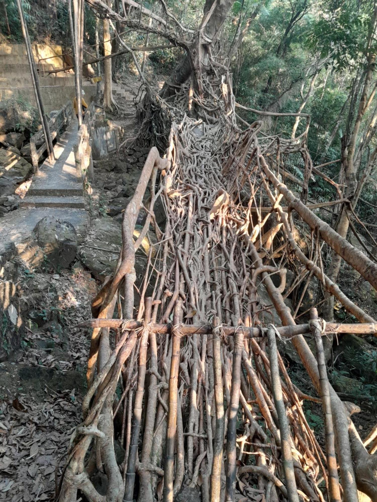 Living Roots Lodge Cherrapunji Ngoại thất bức ảnh