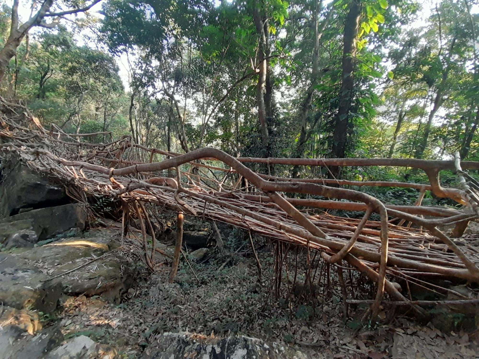 Living Roots Lodge Cherrapunji Ngoại thất bức ảnh